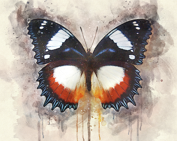 Artful Nature by Leda Robertson Artful Nature by Leda Robertson