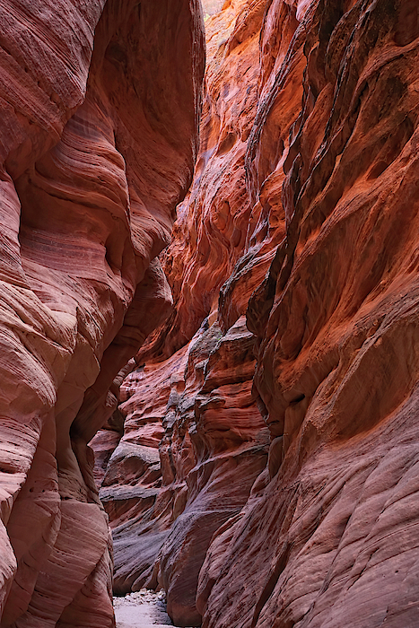 Sculpted Canyon Walls by Leda Robertson Sculpted Canyon Walls by Leda Robertson